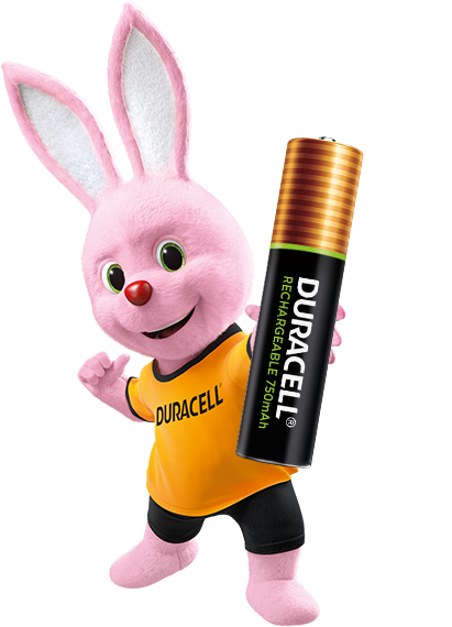 Duracell Rechargeable AAA 750mAh Batteries, 2 Pcs & Chota Power AAA  Alkaline Batteries, LR03/MN2400 - Pack of 10